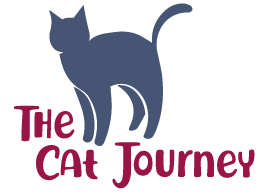 The Cat Journey