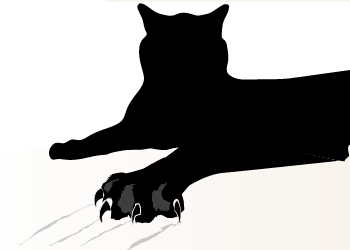 Illustration of a black cat scratching the floor