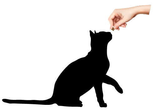 Illustration of a cat owner's hand giving a treat to a black cat