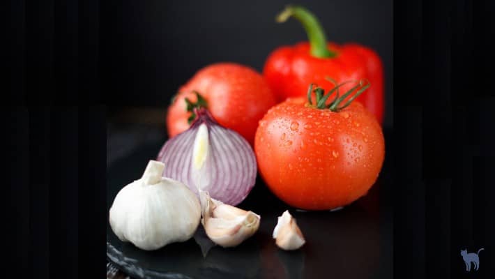 Close up view fresh tomatoes, garlic and onion bundle dark background