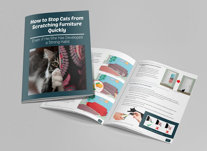 Image of an ebook about how to Stop cats from scratching furniture
